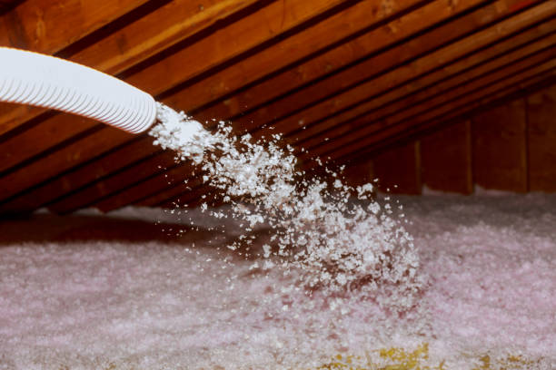 Best Commercial Insulation in Valley View, OH